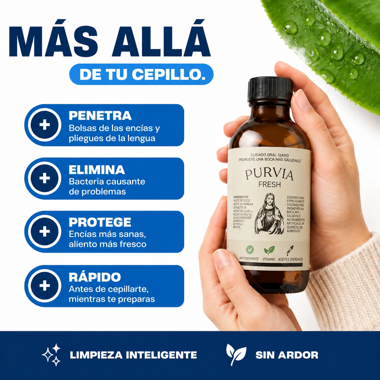 Purvia Fresh | Alivio de las encías y Aliento más fresco