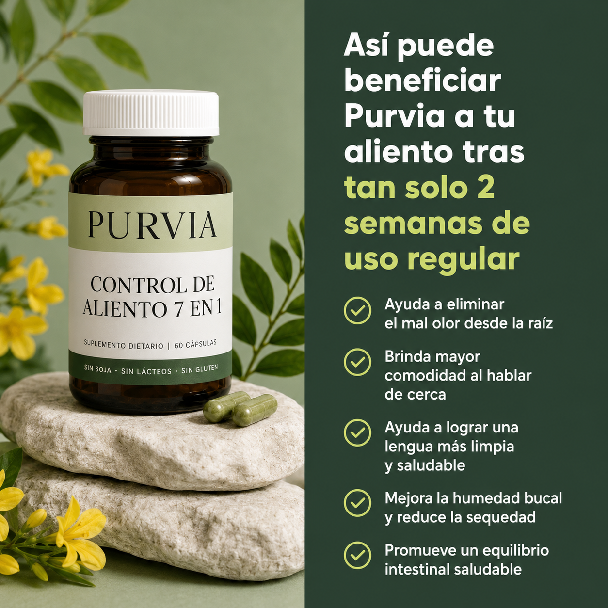 Purvia | Elimina el mal aliento desde la raíz